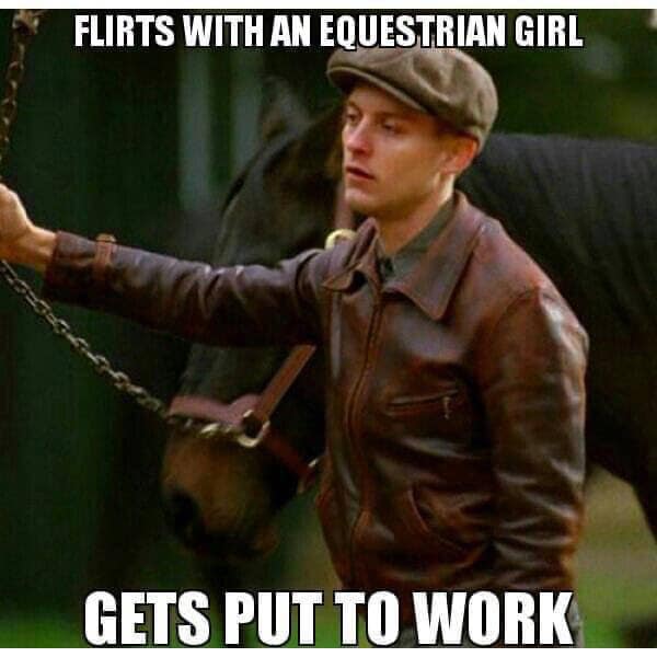 Equestrian Girl Meme - Horse Meme
